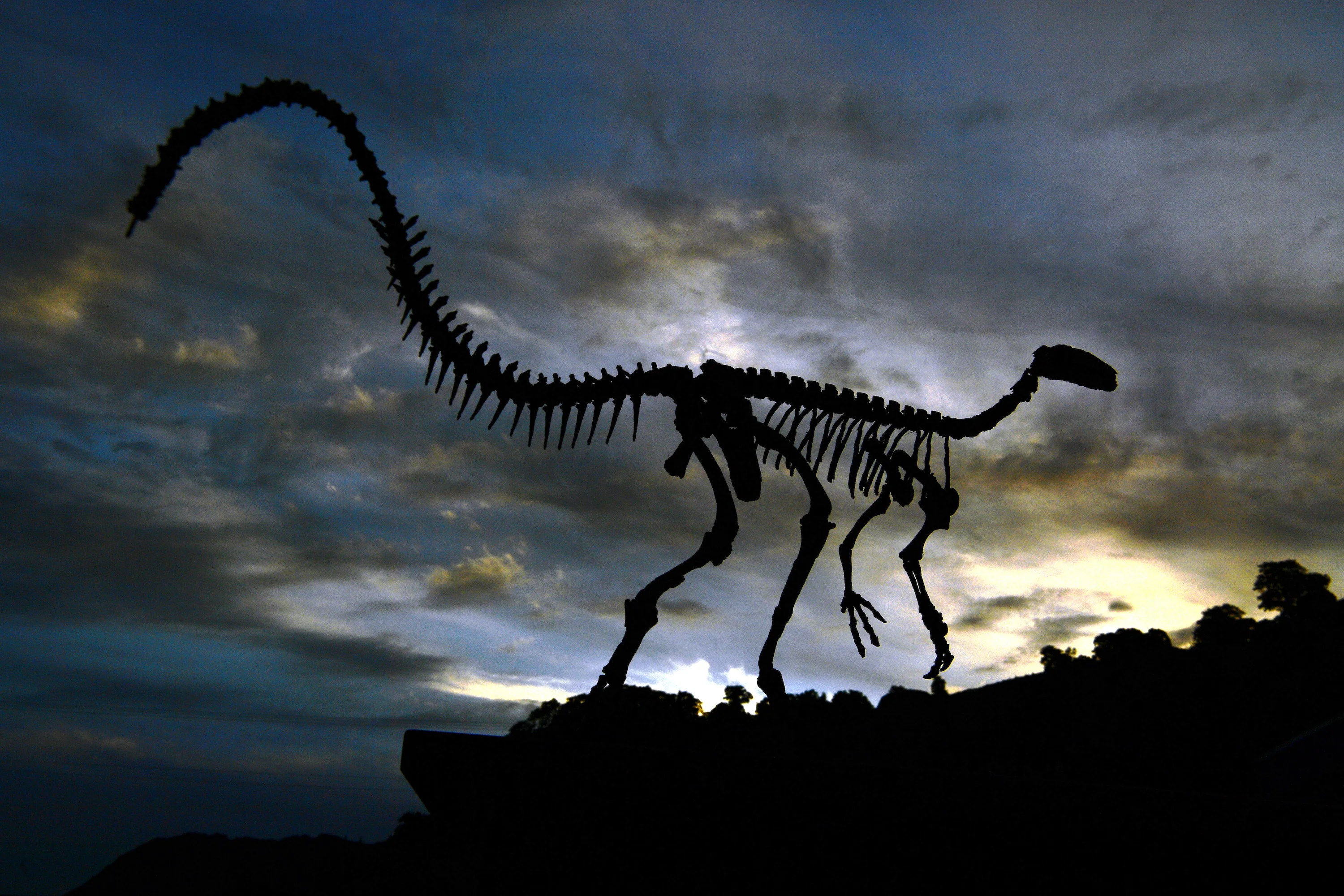 Dino Discoveries: Unraveling the Mysteries of Prehistoric Giants
