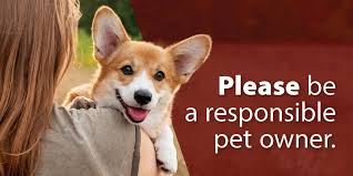 Tips for Responsible Pet Ownership